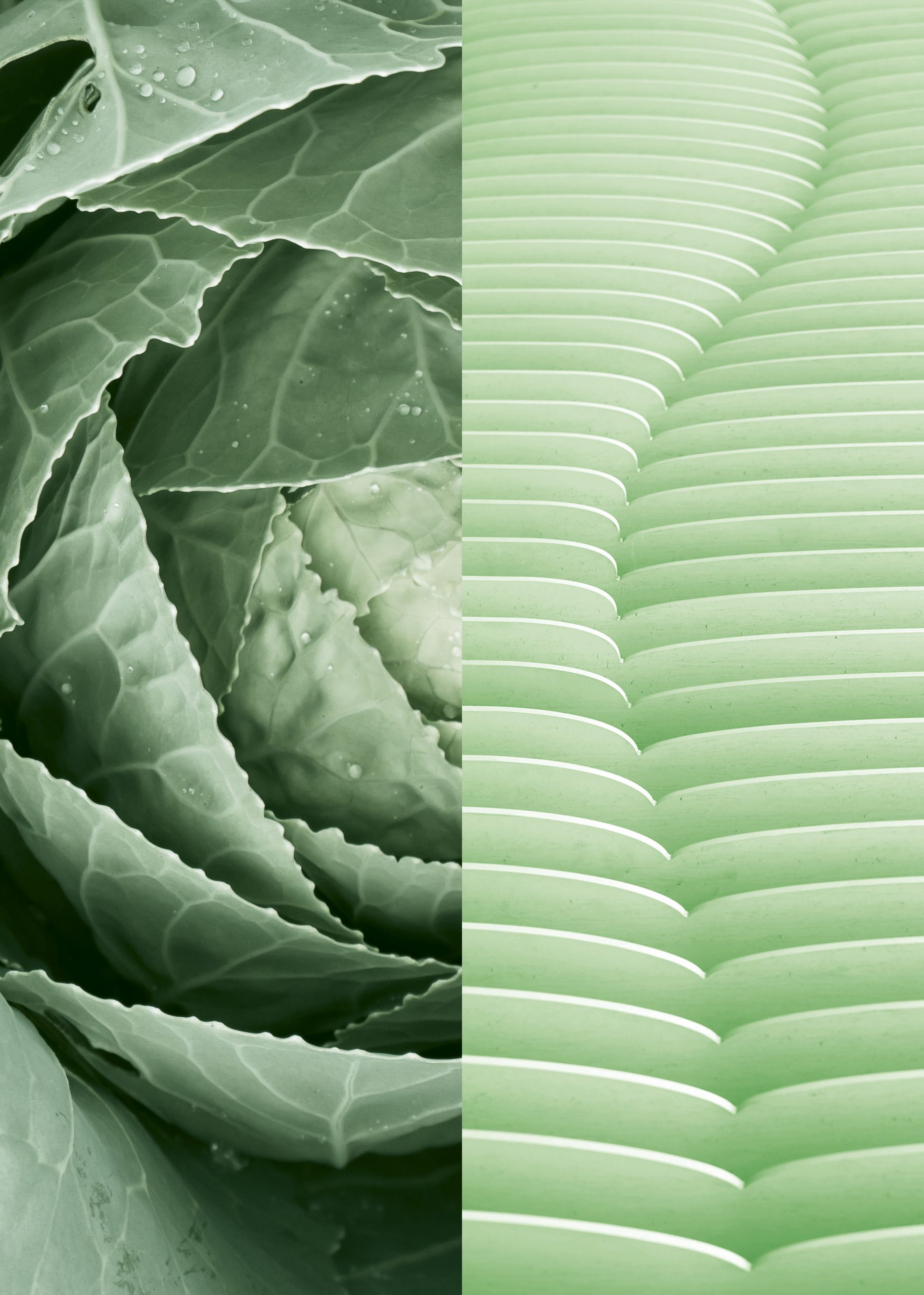Transformation Eco Transition