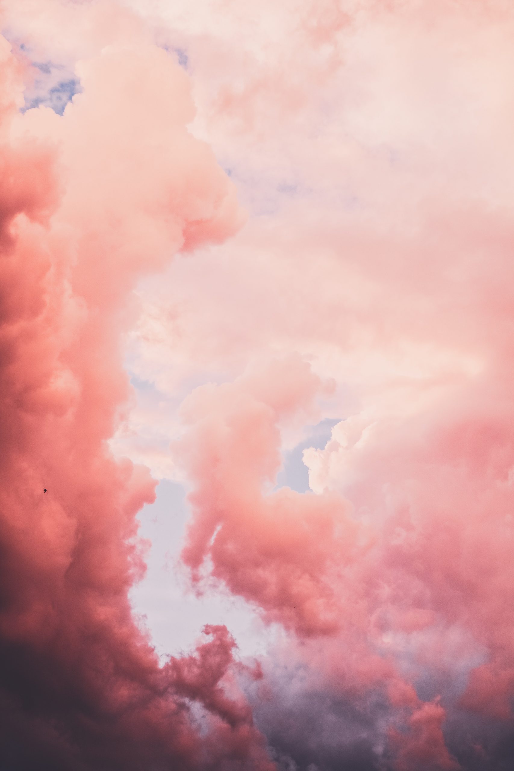 Headerbild Zukunftsforschung