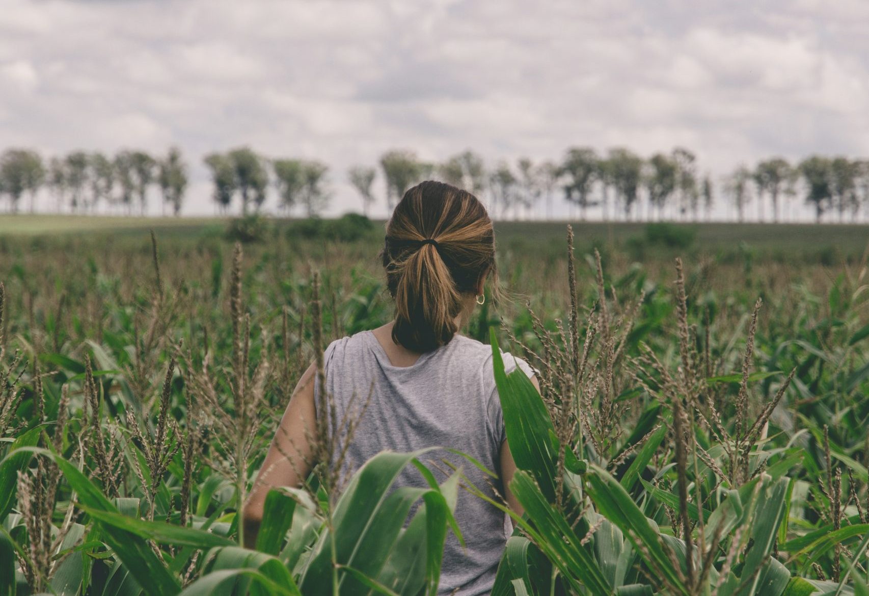 SDGs für die Markenevolution