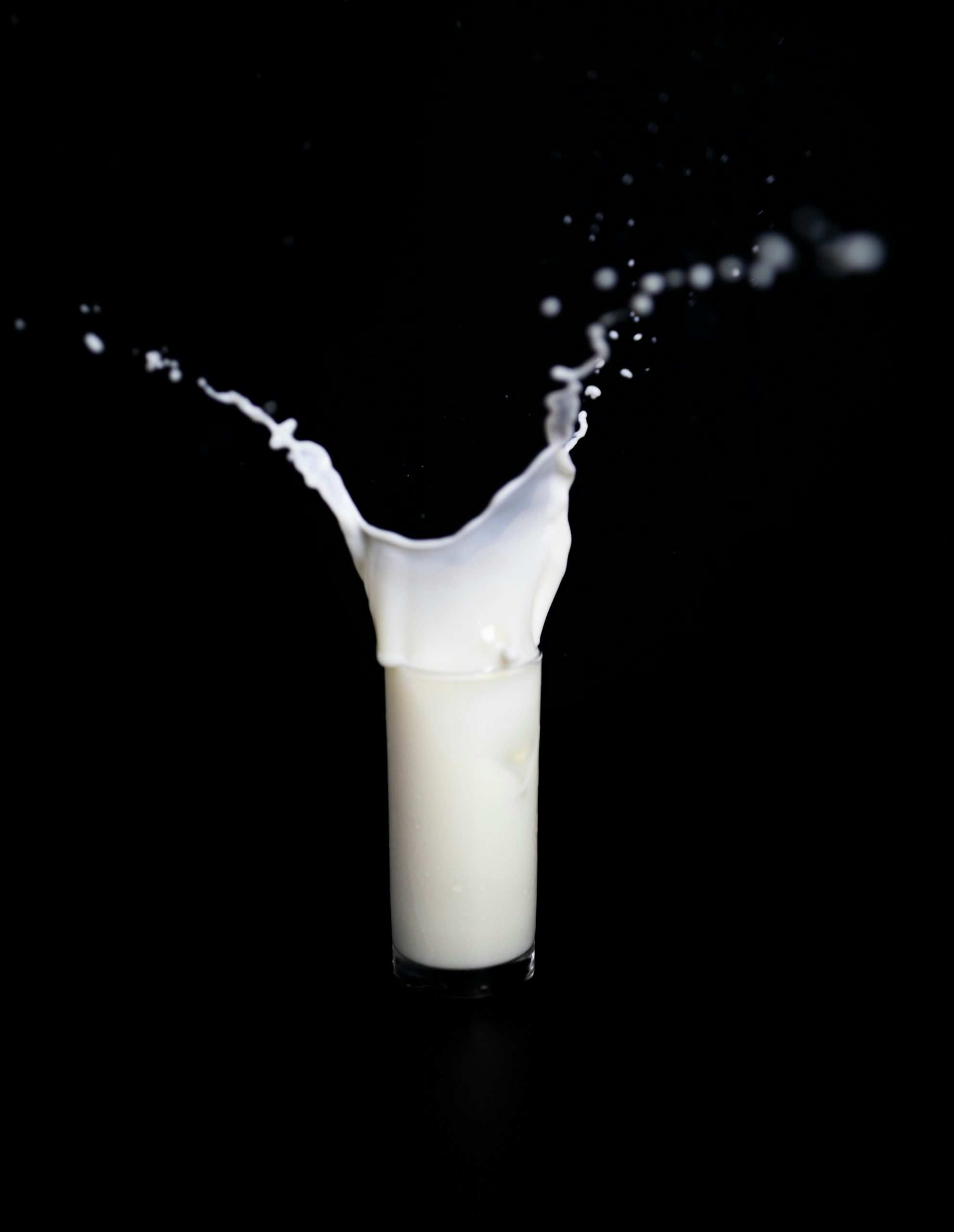 Zukunft der Milch Case Study Headerbild