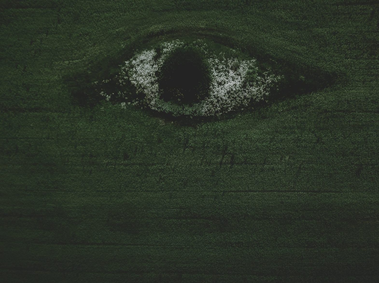 KI und Nachhaltigkeit