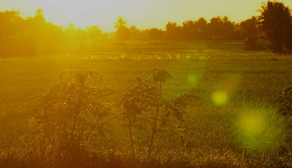 Headerbild Artikel Progressive Provinz