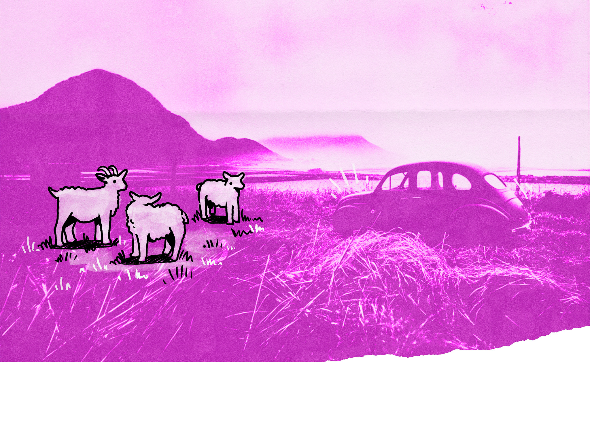 9 Säulen der radikalen Zuversicht