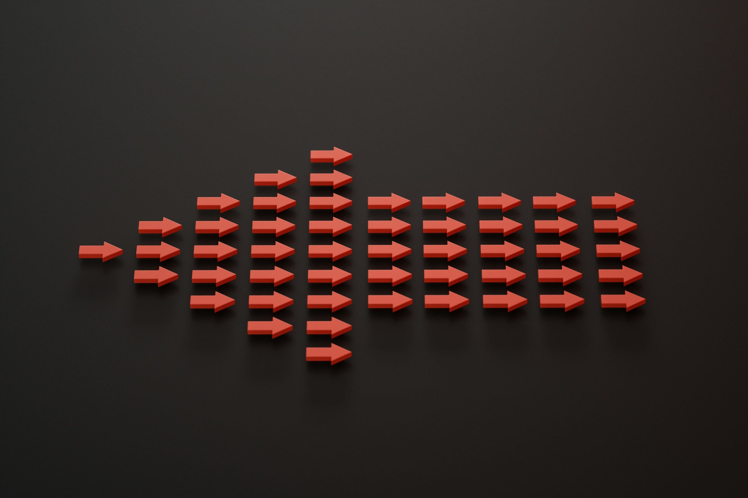 Warum Organisationen Widersprüche kognitiv verstehen, aber emotional meiden